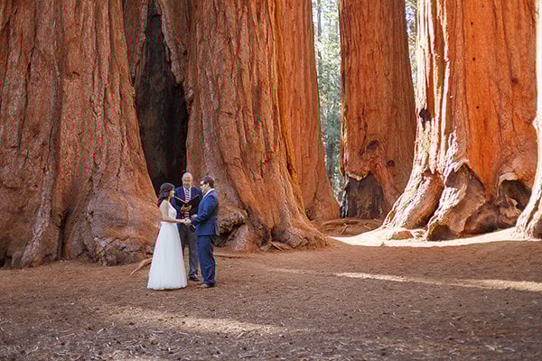Sequoia National Park
