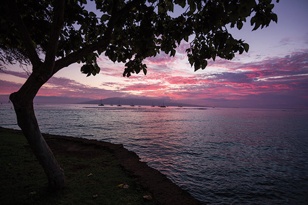 Lahaina Sunset