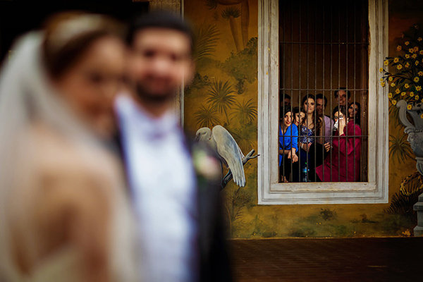 View from the Window