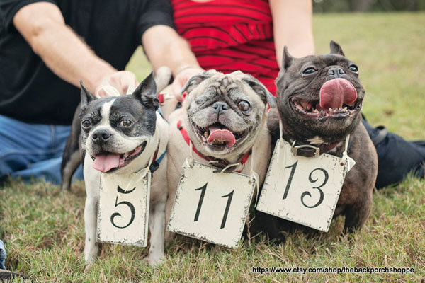 Enchanting Stationery 