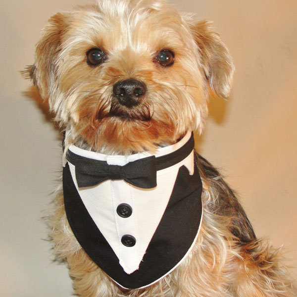 Member of the Wedding