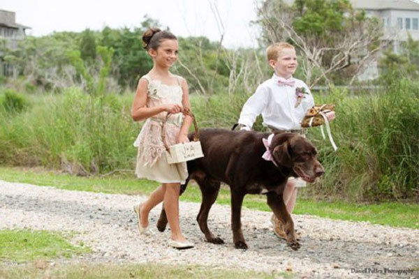 Member of the Wedding