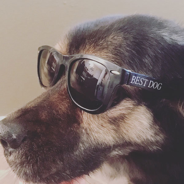 Member of the Wedding