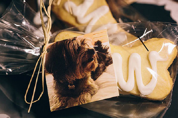Creative Pet-Themed Favors