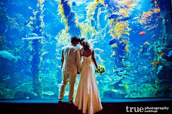 Must-Have Photos for Animal Lovers