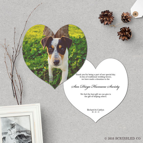 Creative Pet-Themed Favors