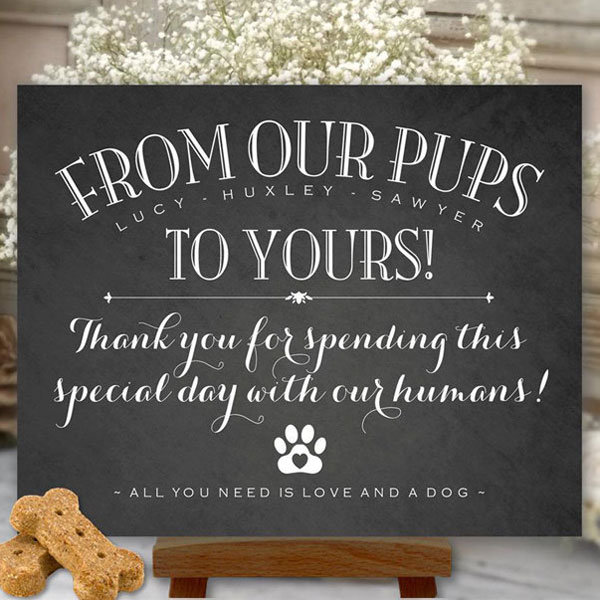 Creative Pet-Themed Favors