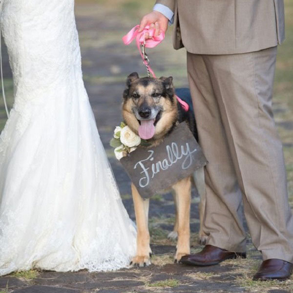 Must-Have Photos for Animal Lovers