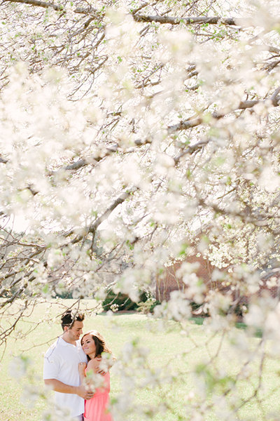 Botanical Garden or Park