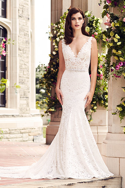 Paloma Blanca  Paloma Blanca