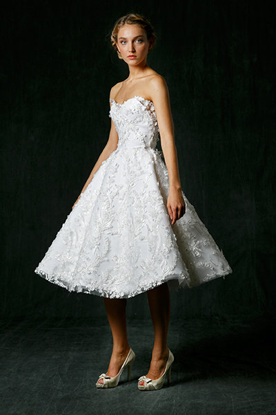 Sareh Nouri Sareh Nouri