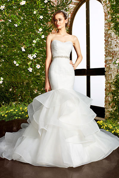 Moonlight Collection