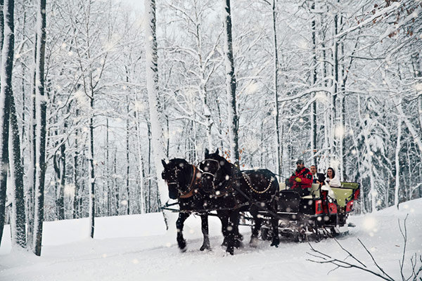 Transportation Transportation