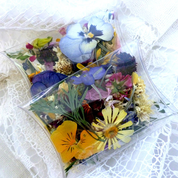 Celebrate the Seasons