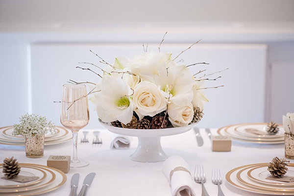 Pining for Pinecones