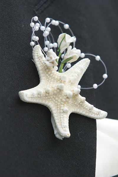 Whimsical Alternatives Whimsical Alternatives