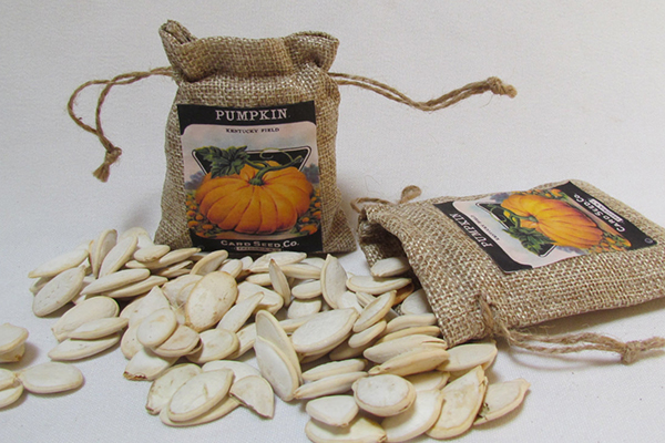 Everything Pumpkin Everything Pumpkin