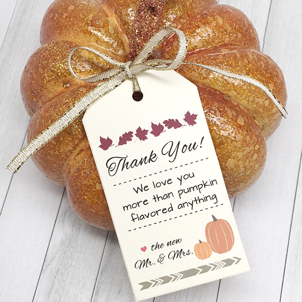 Everything Pumpkin Everything Pumpkin