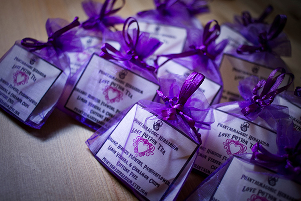 Hocus Pocus Hocus Pocus