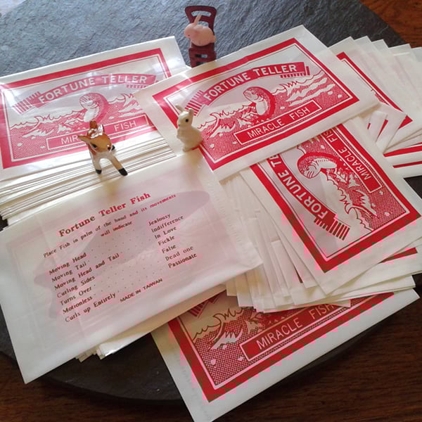 Hocus Pocus Hocus Pocus