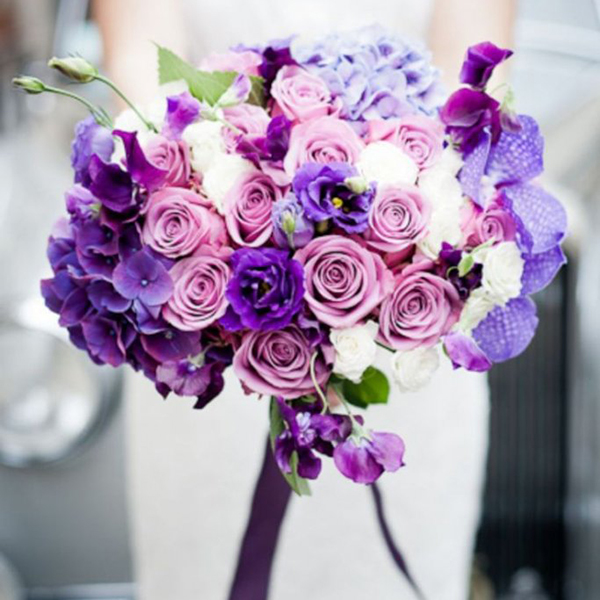 Romantic Purples