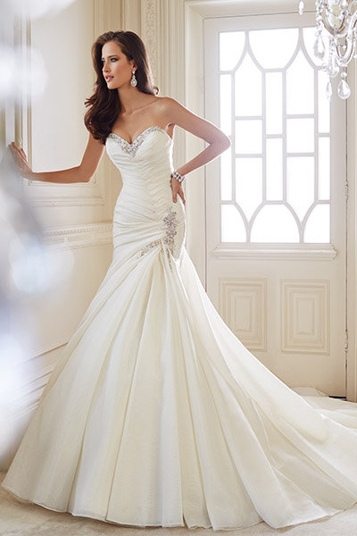 Sophia Tolli