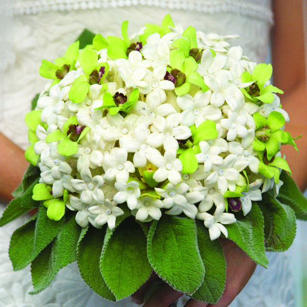 Bouquet Bouquet