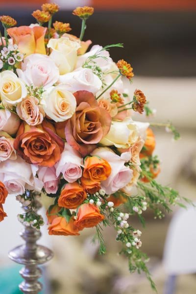 Save: Waxflowers Save: Waxflowers