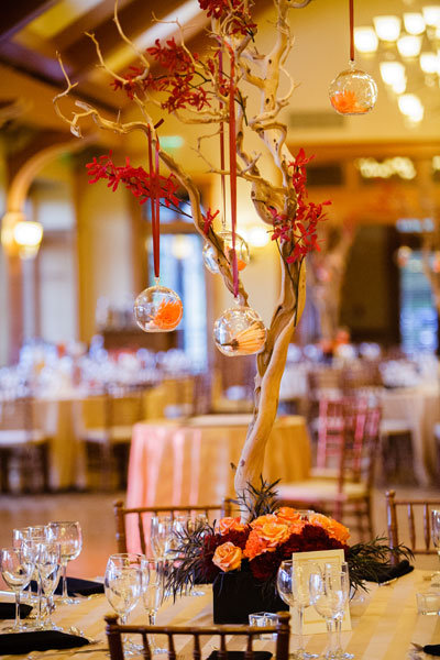 Containers Count, Too Containers Count, Too