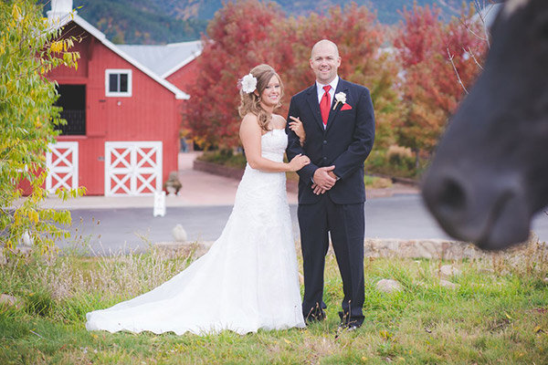 Look a Gift Horse in the Mouth