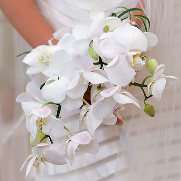 Bouquet Bouquet