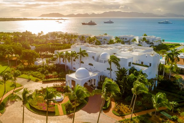 aurora anguilla