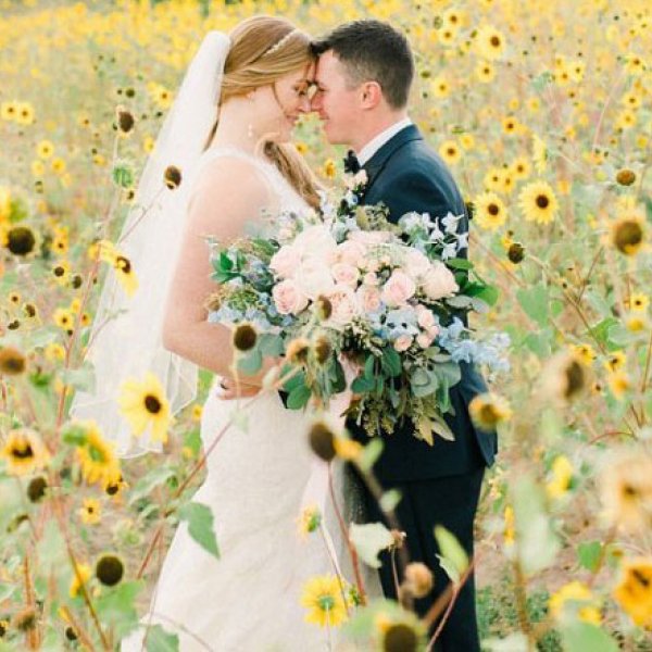 Bride and groom in a sunflower field