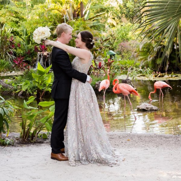 flamingo wedding photo