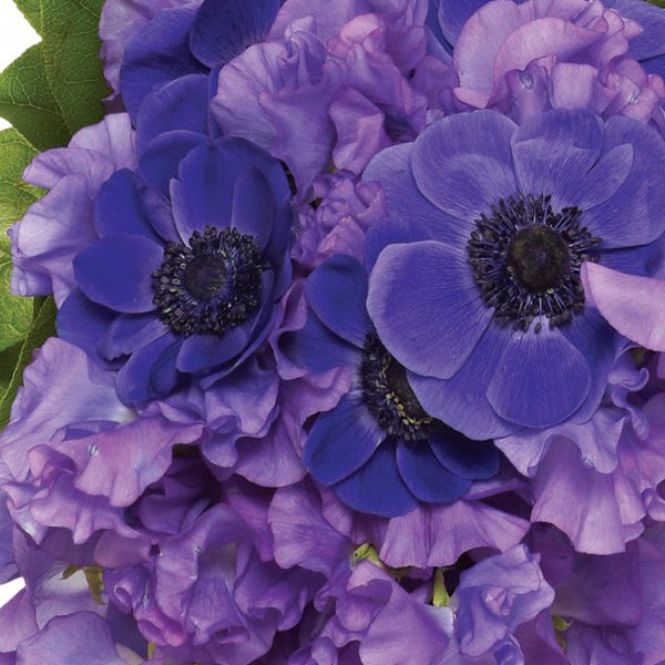 purple wedding flowers