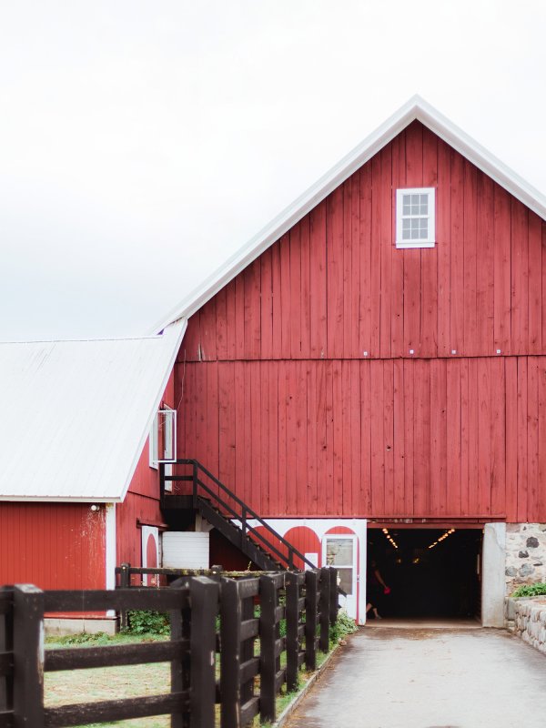 For Love and Wine: Margo & David in Suttons Bay, MI