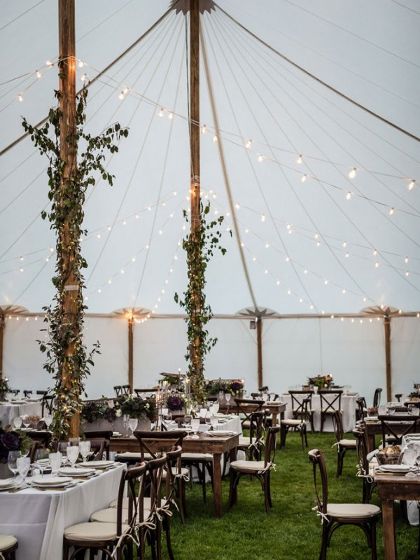 Kyle Drew Lights Reception Tent Kyle Drew Lights Reception Tent