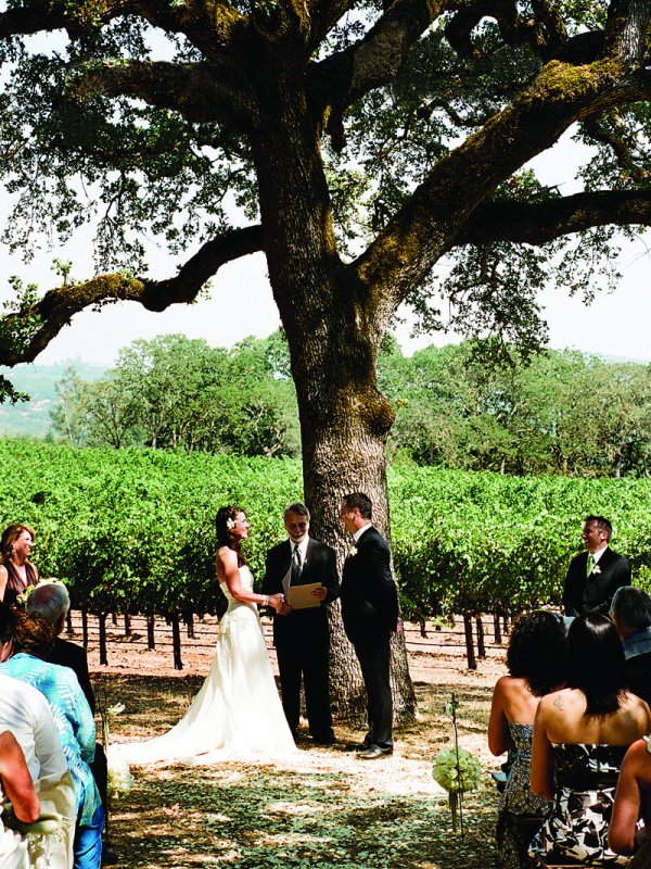 Fine Vines: Julie & Marc in Sonoma Valley, CA Fine Vines: Julie & Marc in Sonoma Valley, CA