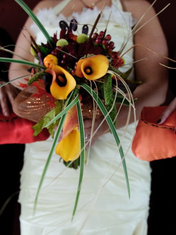Fall in Love: Nicole & Robert in St. Louis, MO Fall in Love: Nicole & Robert in St. Louis, MO