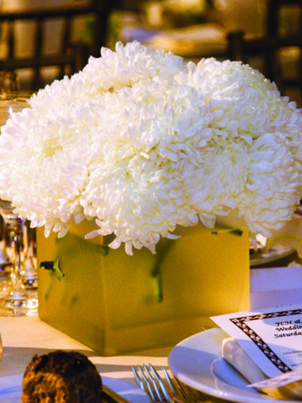 Green Scene: Jennifer & Steven in Rye Brook, NY Green Scene: Jennifer & Steven in Rye Brook, NY