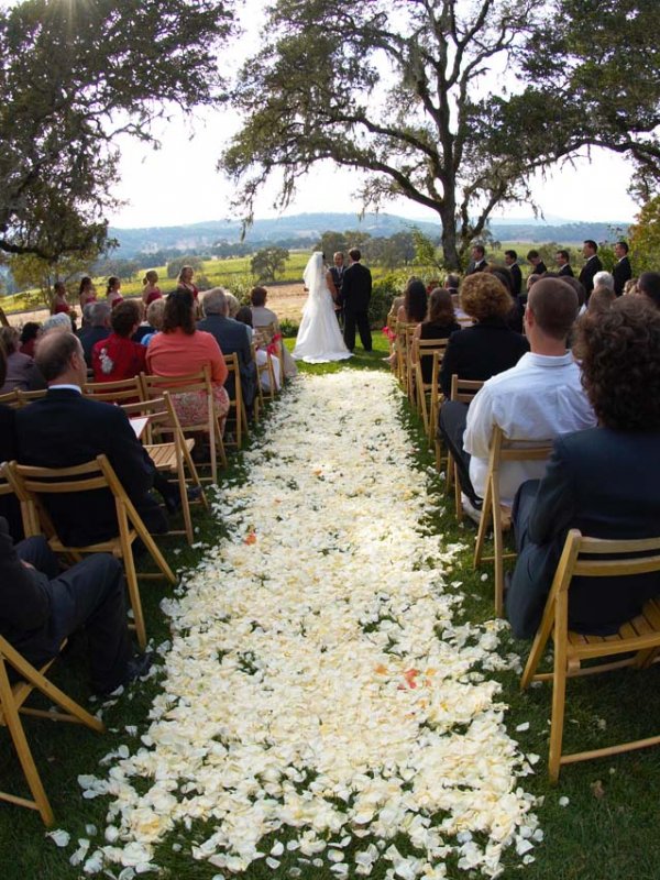 A Sonoma Celebration: Ann & Jarrod in Glen Ellen, CA A Sonoma Celebration: Ann & Jarrod in Glen Ellen, CA