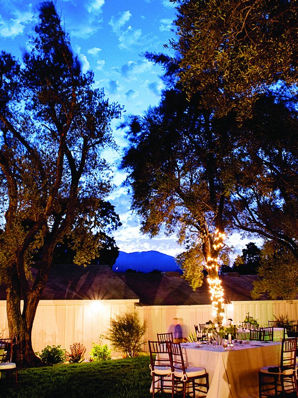 Fine Vines: Julie & Marc in Sonoma Valley, CA Fine Vines: Julie & Marc in Sonoma Valley, CA