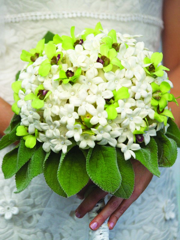 Green Scene: Jennifer & Steven in Rye Brook, NY Green Scene: Jennifer & Steven in Rye Brook, NY
