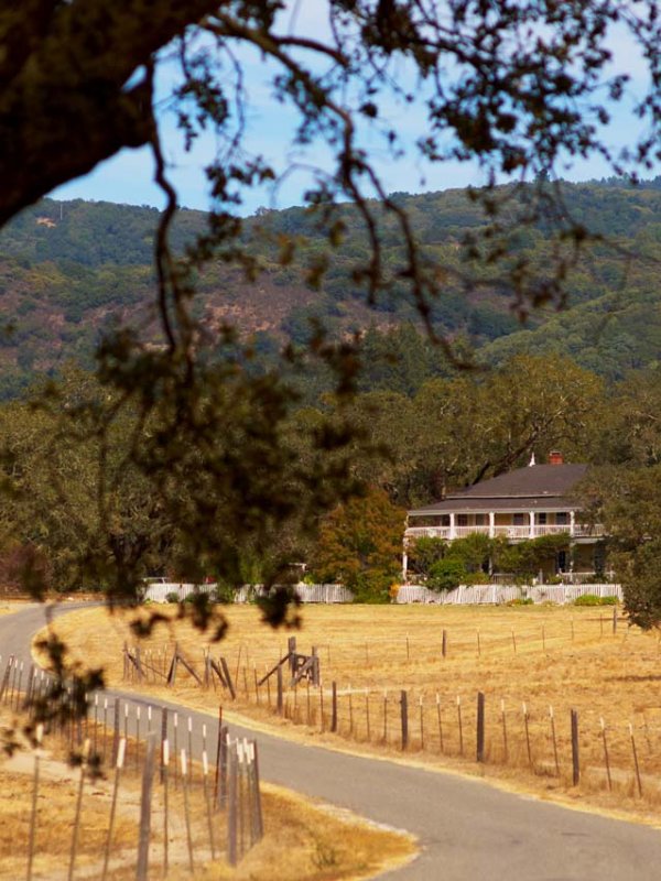 A Sonoma Celebration: Ann & Jarrod in Glen Ellen, CA A Sonoma Celebration: Ann & Jarrod in Glen Ellen, CA