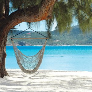 Guana Island