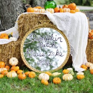 pumpkin wedding decorations