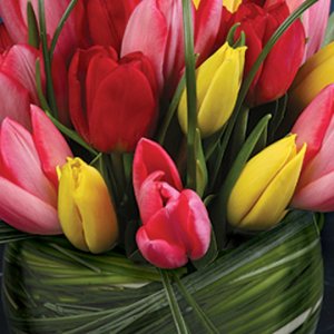 Flowers In Season July Bridalguide