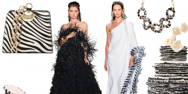 can you wear zebra print to a wedding